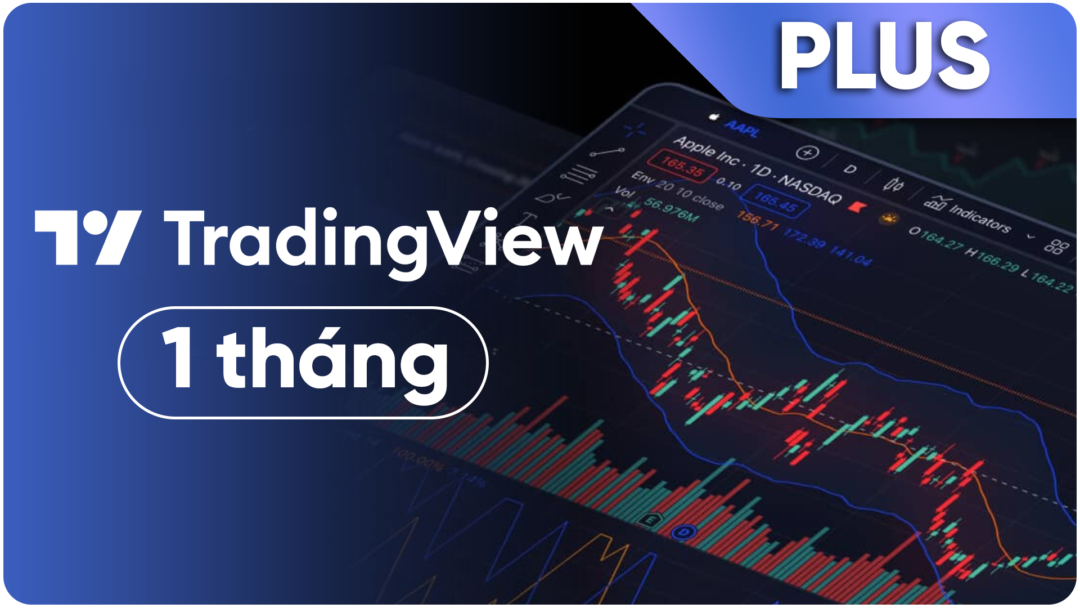 Tài khoản Tradingview Plus 1 tháng giá rẻ